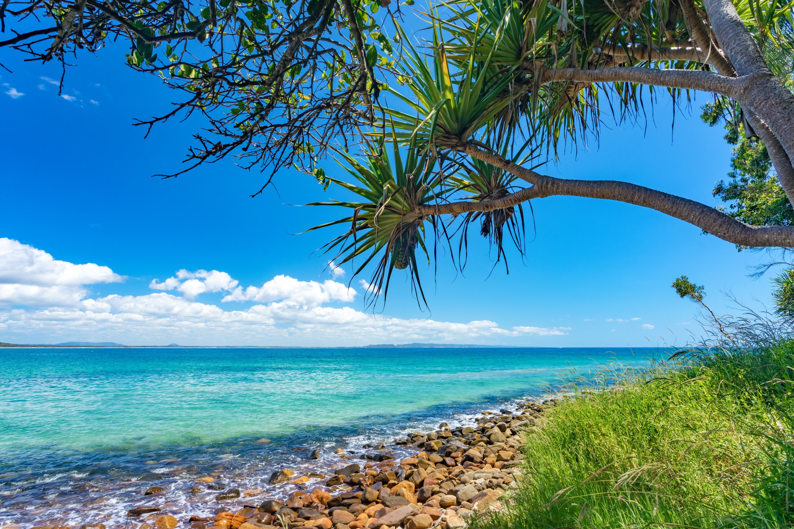 Sunshine Coast and Noosa Regional Climate Action Roadmap