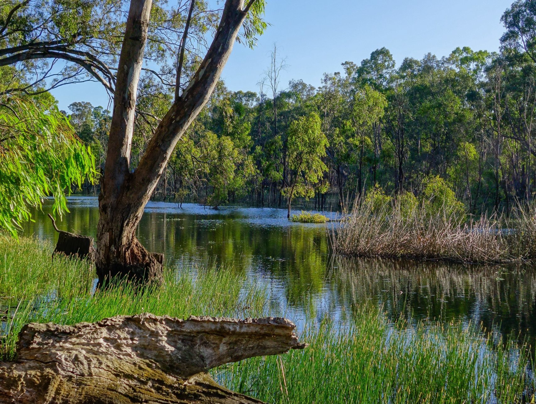Socioeconomic outcomes of environmental watering