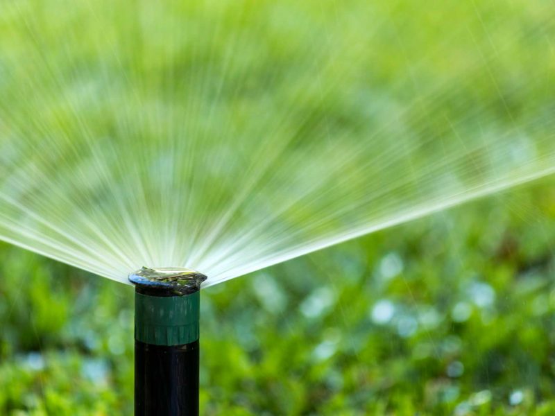 Economic Review of Business Case Development