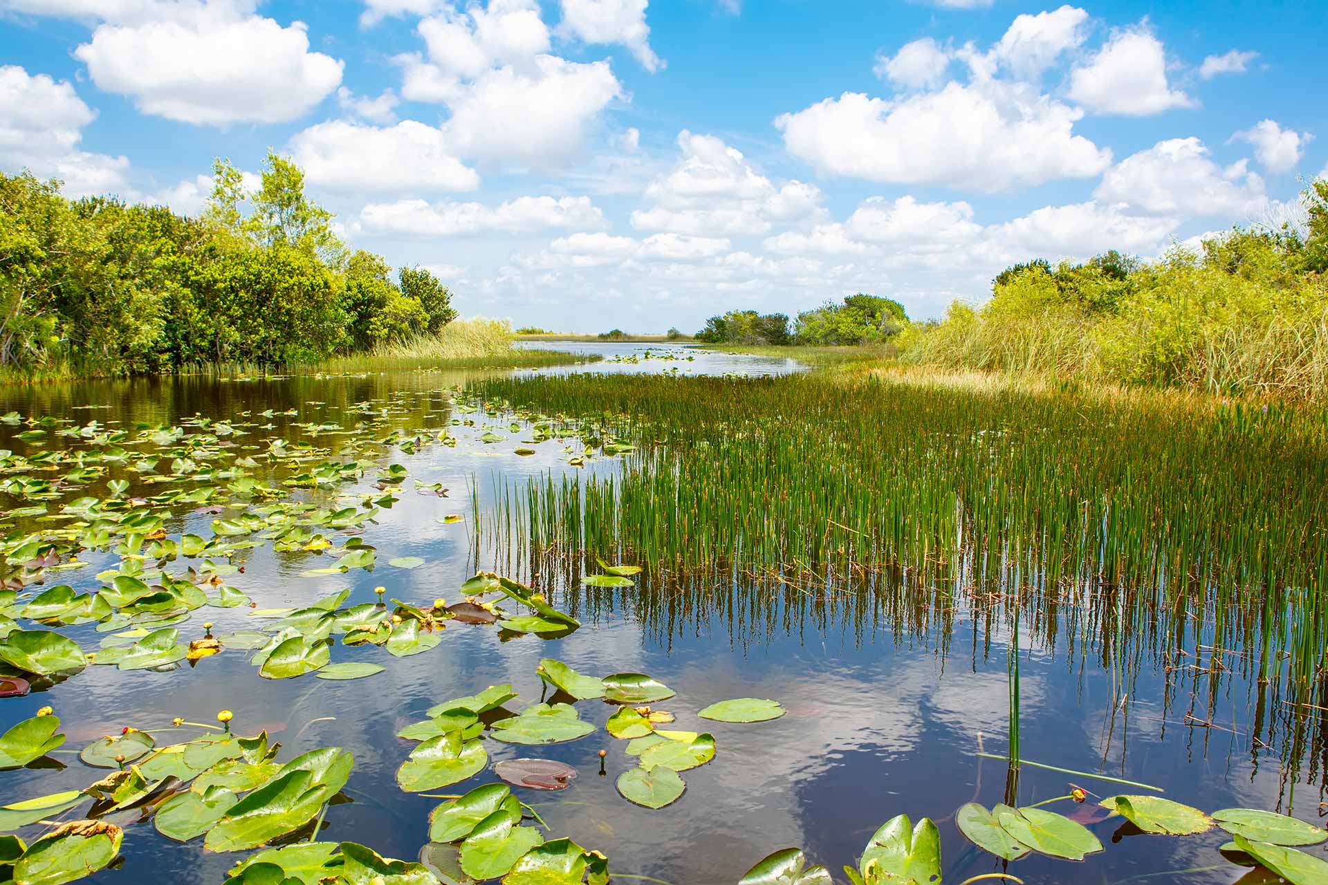 Abatement Costs for Diffuse Water Pollutants