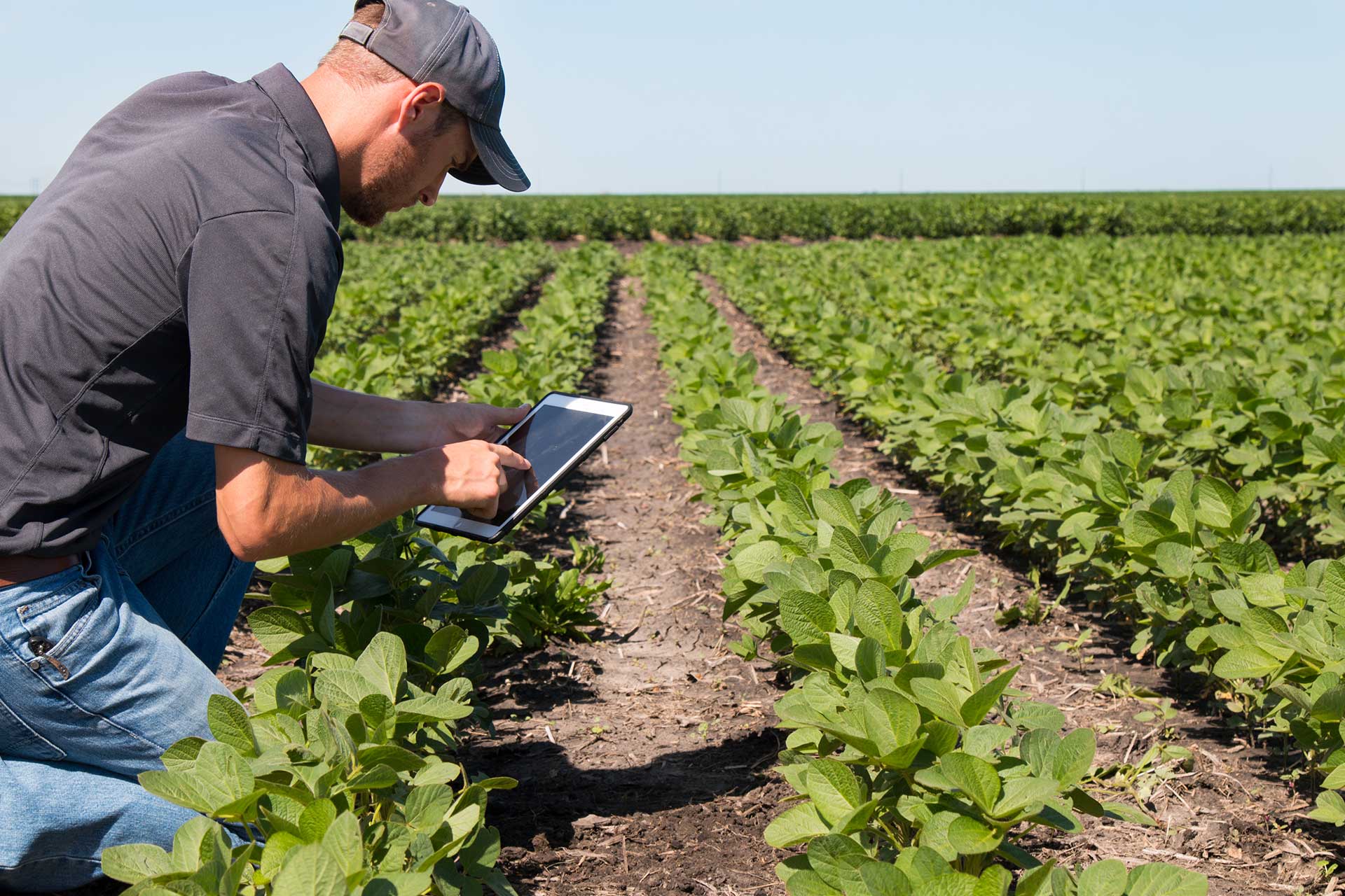 Sustainable Growth in a National Food Bowl