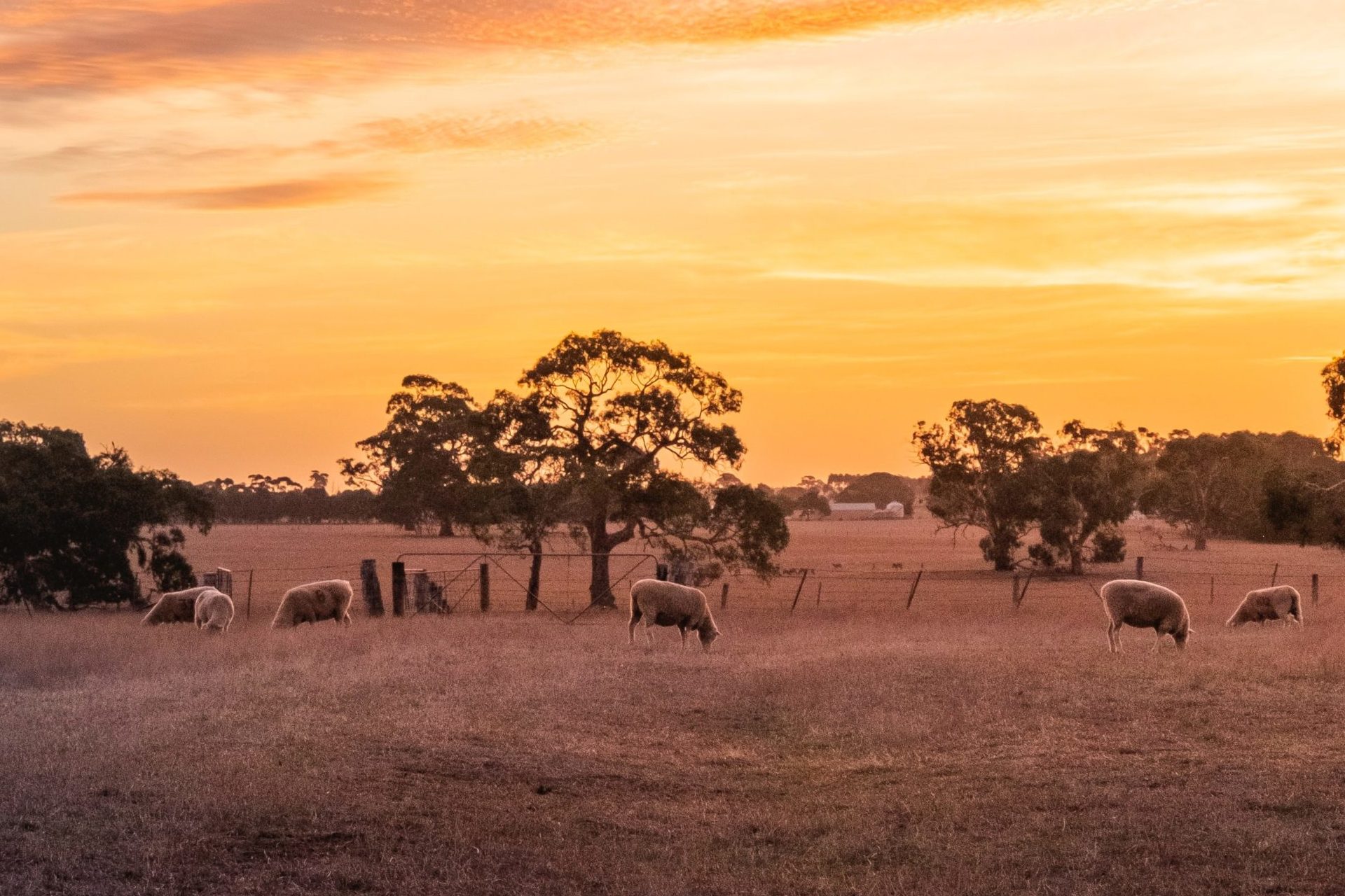 Capital requirements of the agriculture sector