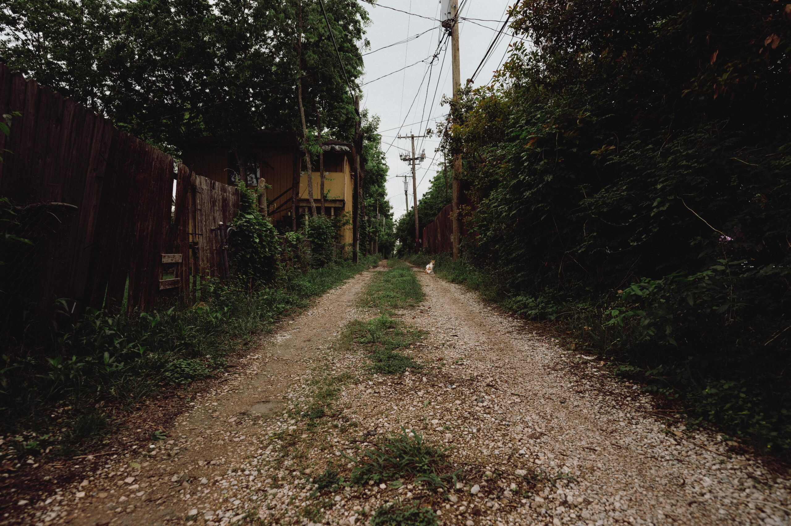 Cape York unsealed roads cost-benefit analysis